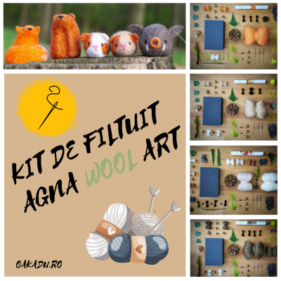 Mistret, kit DIY de filtuit, Agna Wool Art